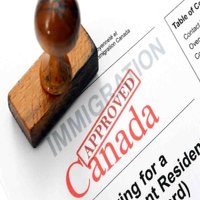 Immigration & Refugee
